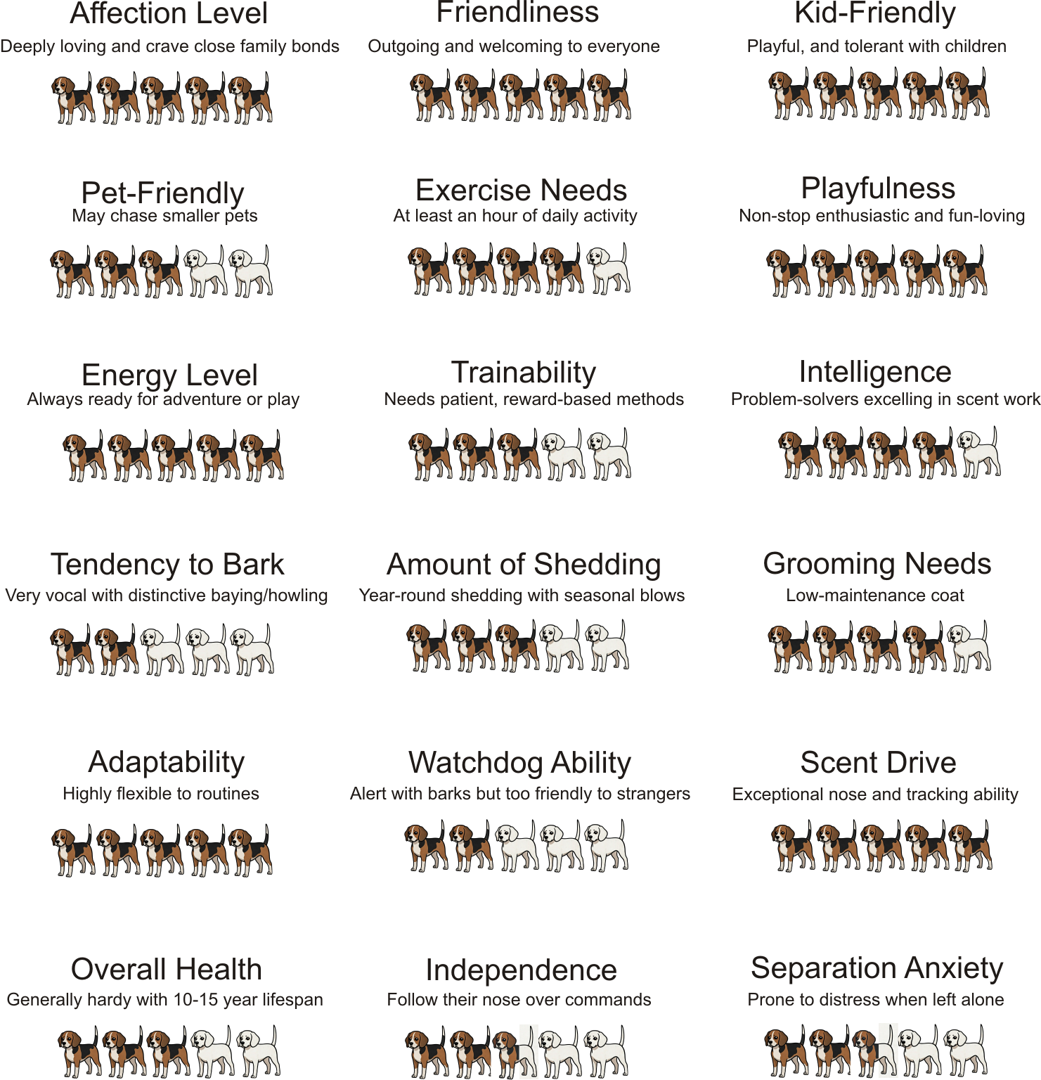 Beagle Traits