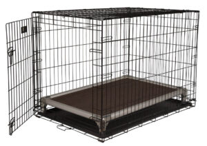 Beagle Puppies Crate