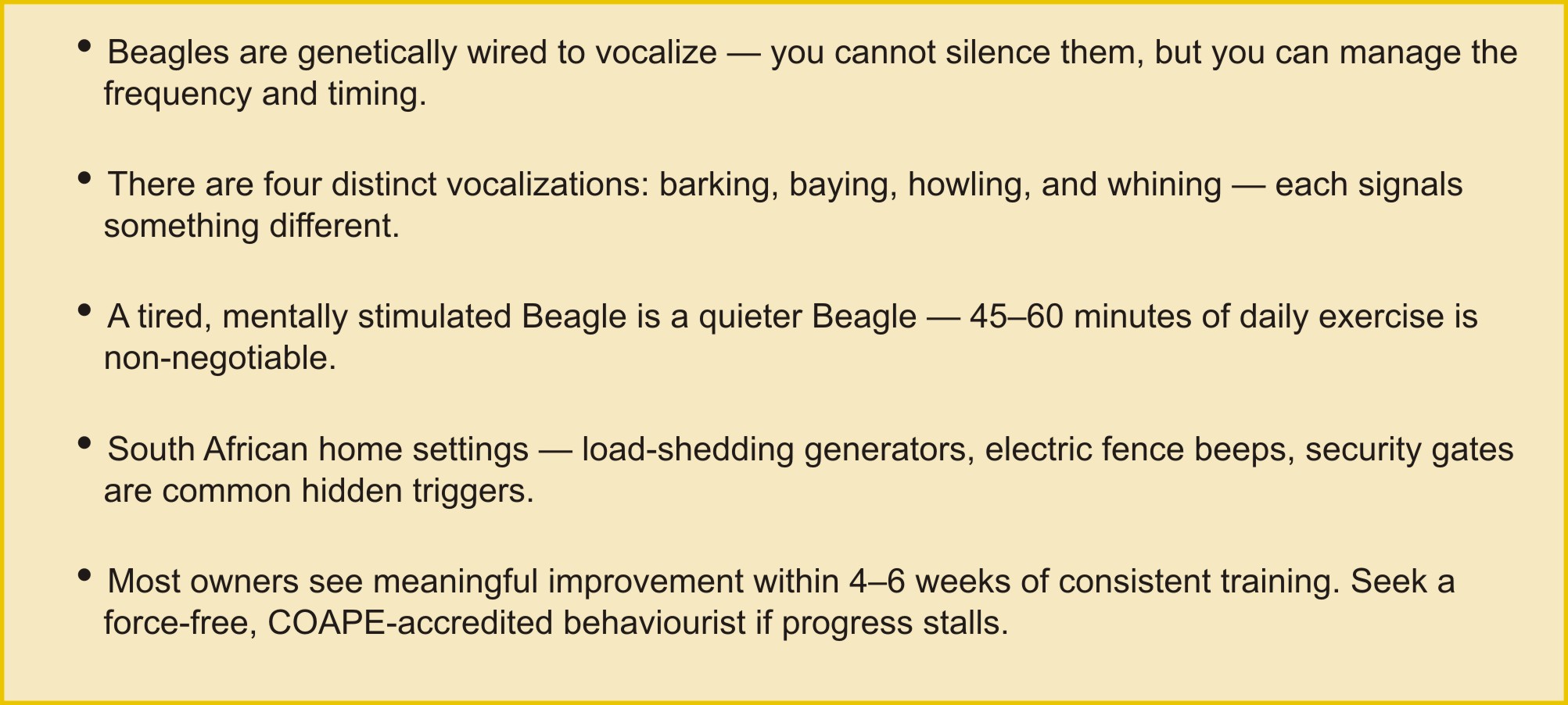 Beagle Howling Quick Take