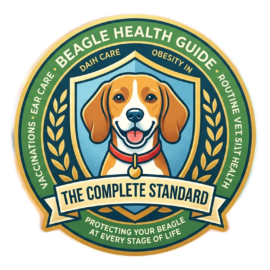 Beagle Health and Wellness Guide