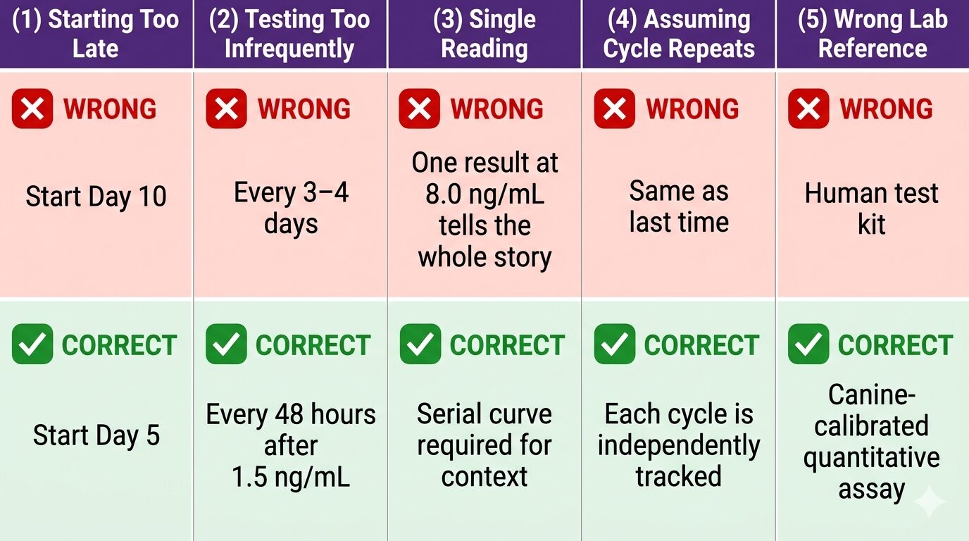 Progesterone Testing In Dogs. Five-panel warning infographic showing the five most common canine progesterone testing mistakes and their correct alternatives: starting testing too late, testing too infrequently, interpreting a single reading in isolation, assuming cycles repeat identically, and using incorrectly calibrated laboratory references.